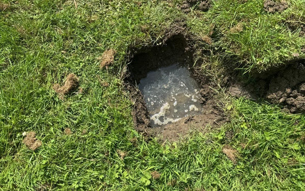 Hand-dug test hole in a lawn holding standing water during a Flowcraft garden drainage investigation